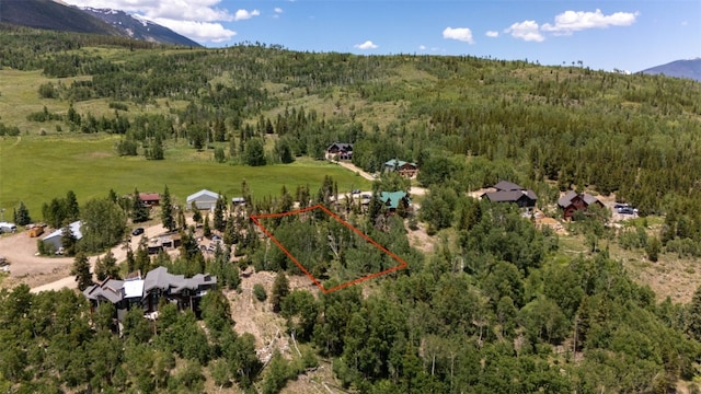 354 Giberson Rd, Frisco, CO 80498