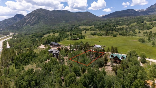 354 Giberson Rd, Frisco, CO 80498