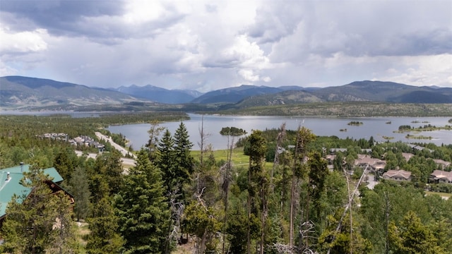 354 Giberson Rd, Frisco, CO 80498
