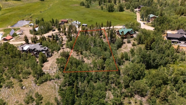 354 Giberson Rd, Frisco, CO 80498