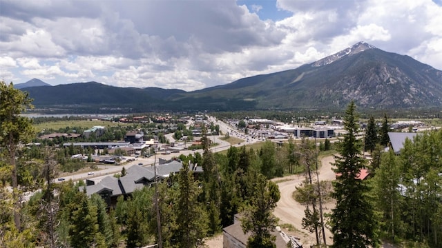 354 Giberson Rd, Frisco, CO 80498