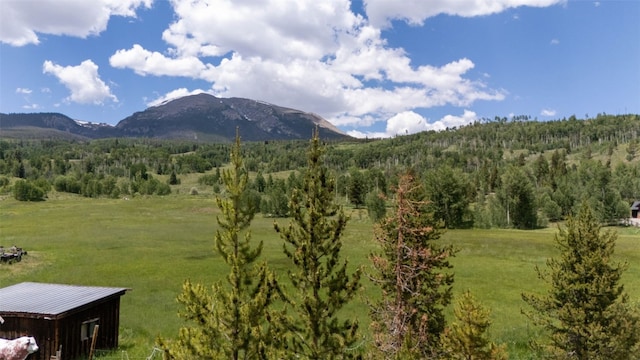 354 Giberson Rd, Frisco, CO 80498