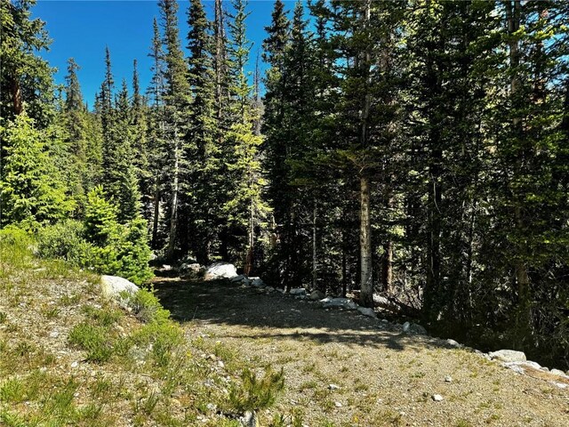 868 Sacramento Xing, Fairplay, CO 80440 - photo 4