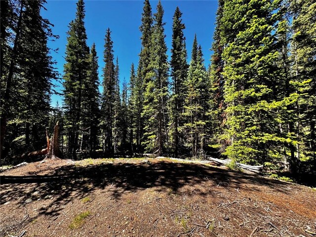 868 Sacramento Xing, Fairplay, CO 80440 - photo 26