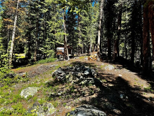 868 Sacramento Xing, Fairplay, CO 80440 - photo 24