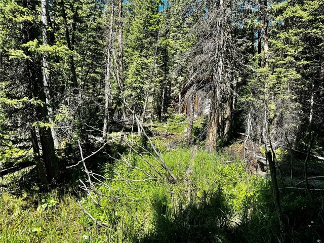 868 Sacramento Xing, Fairplay, CO 80440 - photo 35