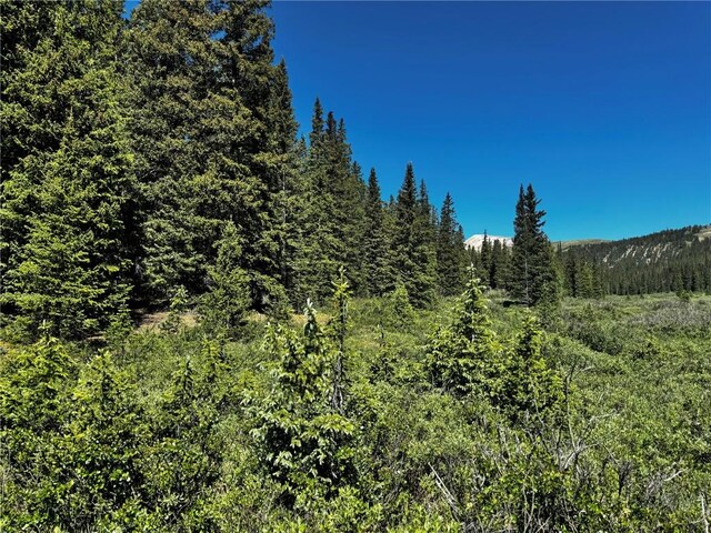868 Sacramento Xing, Fairplay, CO 80440 - photo 7