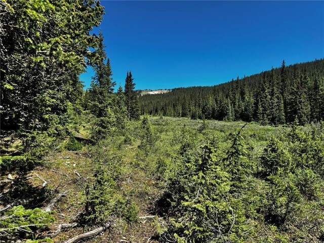 868 Sacramento Xing, Fairplay, CO 80440 - photo 31