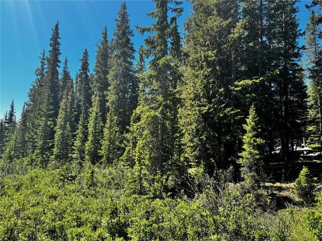 868 Sacramento Xing, Fairplay, CO 80440 - photo 34