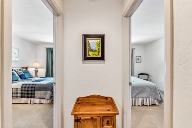 hallway with carpet flooring