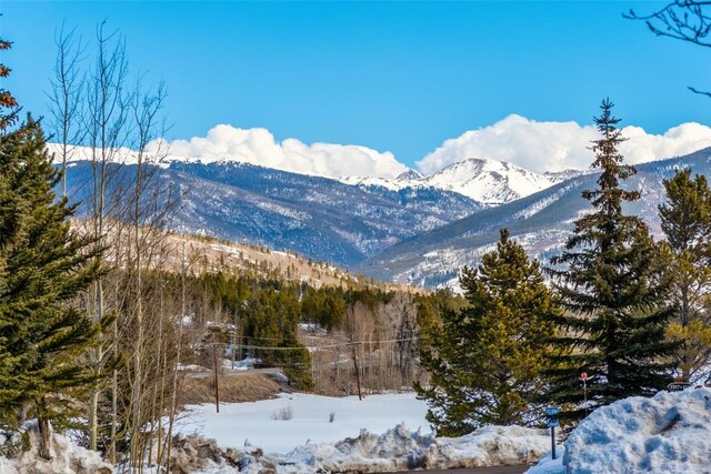 view of mountain feature