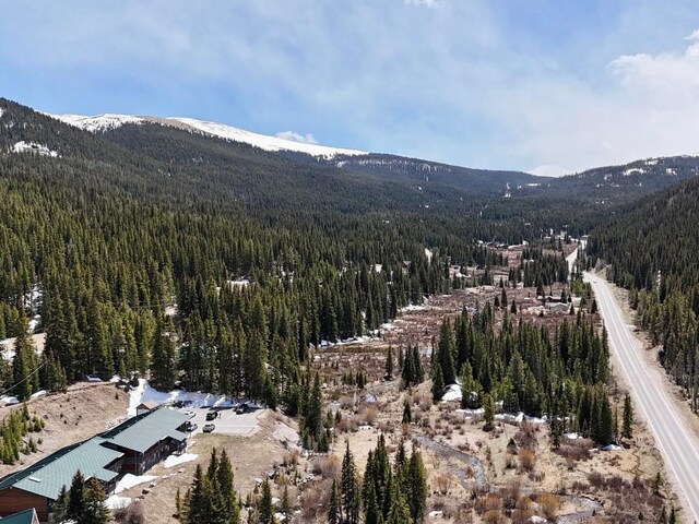 4192 State Highway 9 Unit 3, Breckenridge, CO 80424 - view of mountain background featuring a heavily wooded area