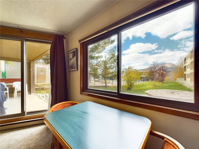 bedroom featuring carpet floors and a textured ceiling