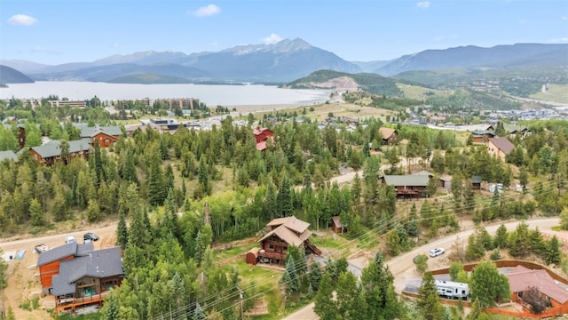 615 Piney Acres Cir, Dillon, CO 80435 - photo 50