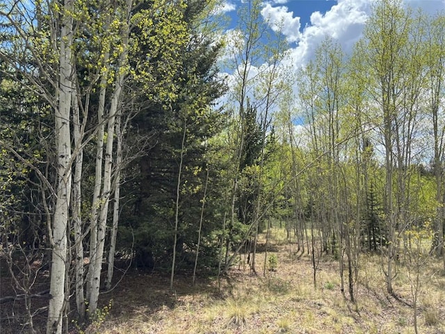 75 Ithaca Ln, Como, CO 80432