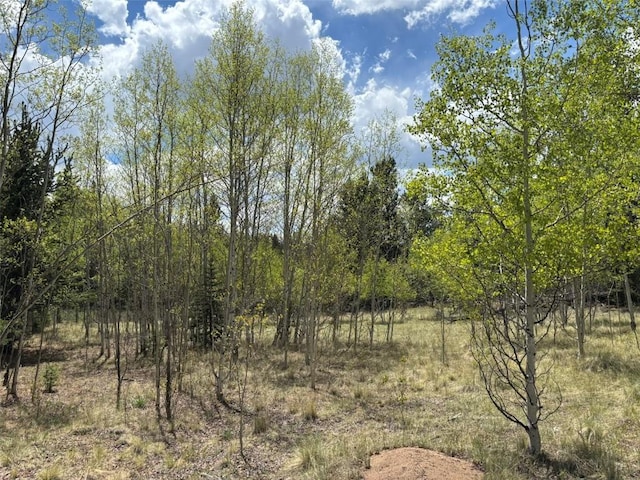 75 Ithaca Ln, Como, CO 80432