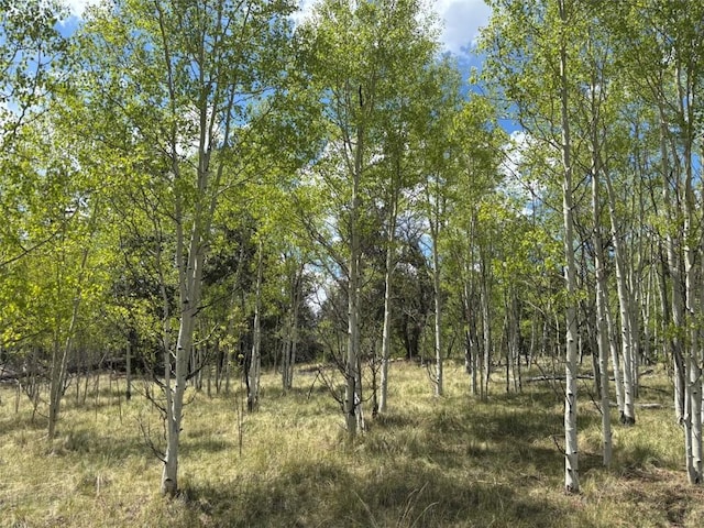 75 Ithaca Ln, Como, CO 80432