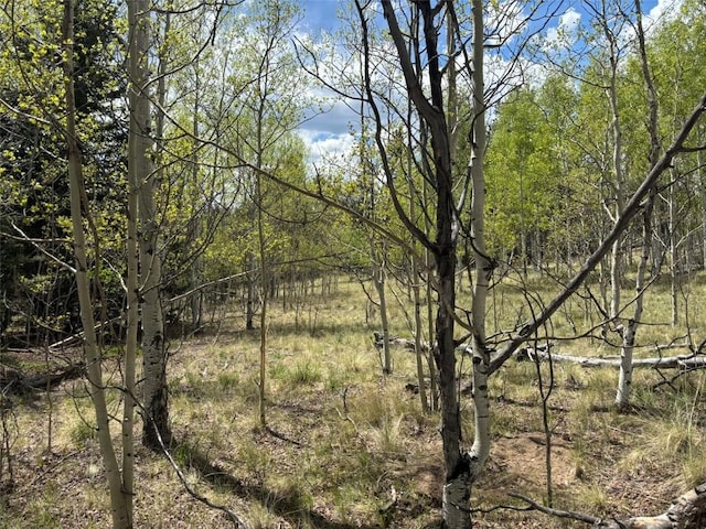 75 Ithaca Ln, Como, CO 80432