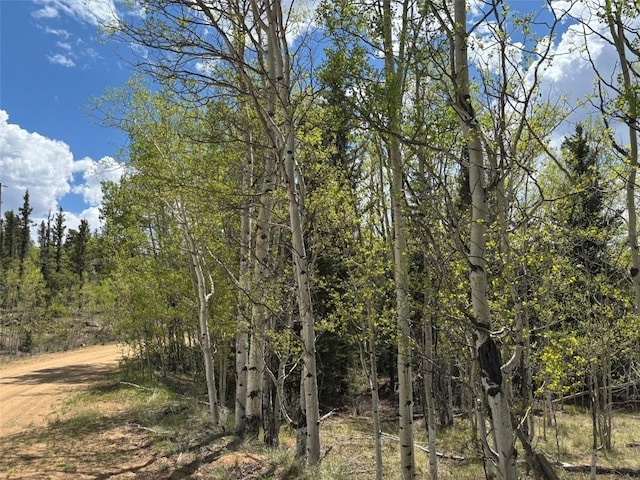 75 Ithaca Ln, Como, CO 80432