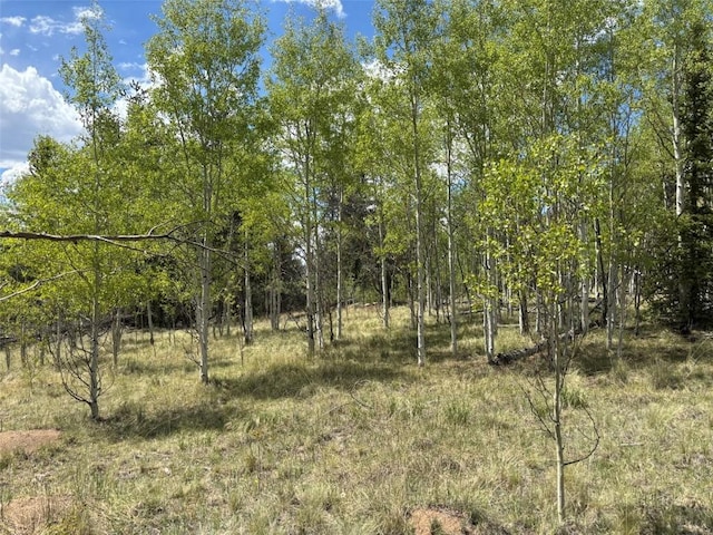 75 Ithaca Ln, Como, CO 80432
