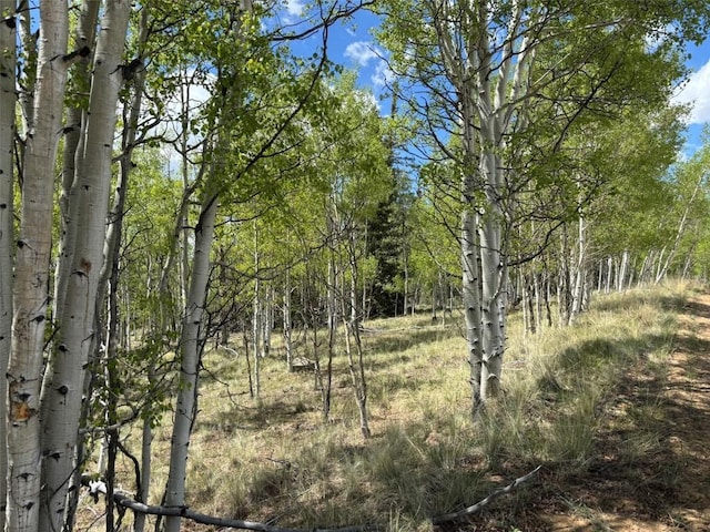 75 Ithaca Ln, Como, CO 80432