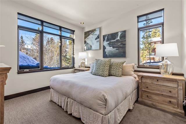 bedroom with carpet flooring