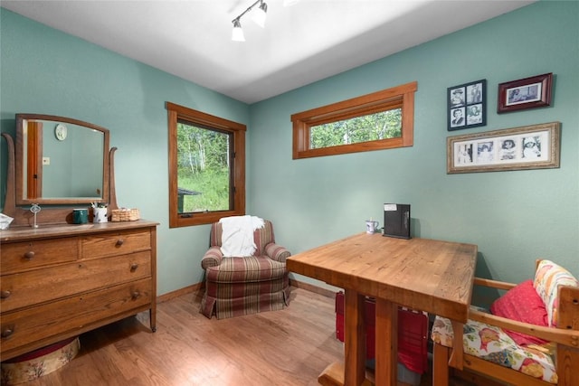 57610 Longfellow Way, Clark, CO 80428 - office area with wood finished floors and baseboards