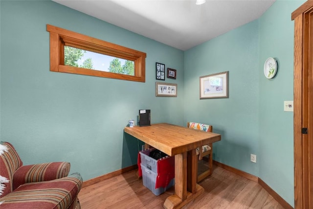 57610 Longfellow Way, Clark, CO 80428 - office space featuring light wood finished floors and baseboards