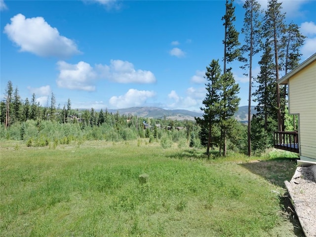 6930 Ryan Gulch Rd Unit 6930, Silverthorne, CO 80498 - photo 31