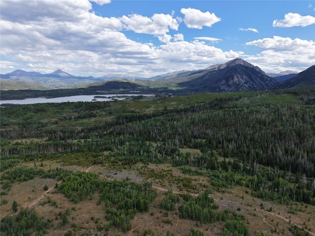 6930 Ryan Gulch Rd Unit 6930, Silverthorne, CO 80498 - photo 40