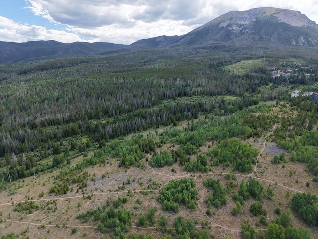 6930 Ryan Gulch Rd Unit 6930, Silverthorne, CO 80498 - photo 39