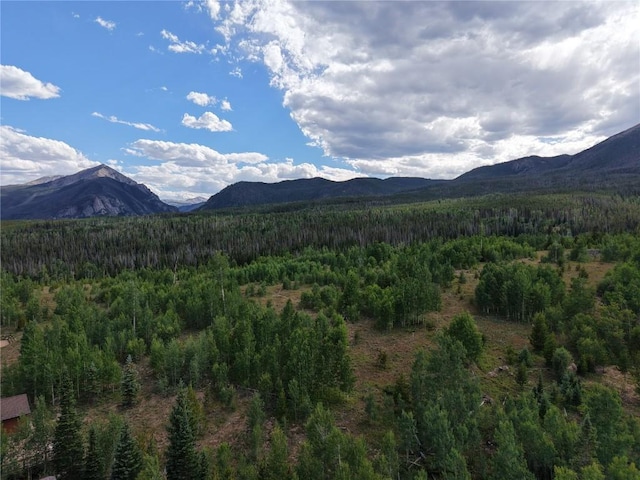 6930 Ryan Gulch Rd Unit 6930, Silverthorne, CO 80498 - photo 38