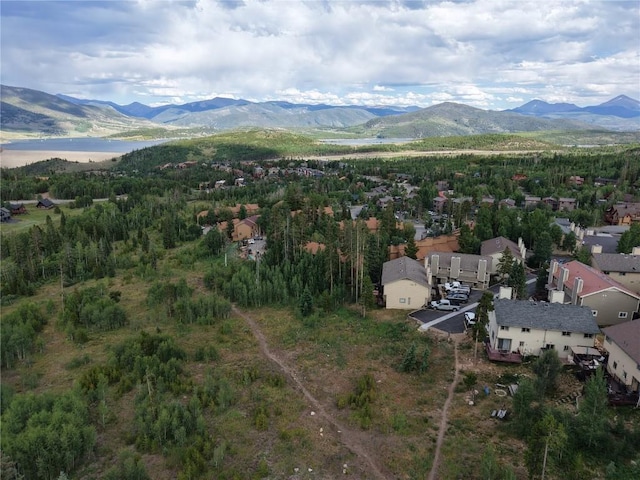 6930 Ryan Gulch Rd Unit 6930, Silverthorne, CO 80498 - photo 37