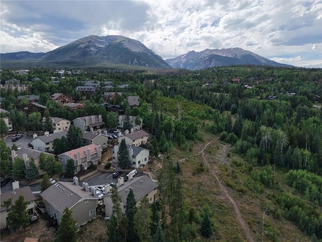 6930 Ryan Gulch Rd Unit 6930, Silverthorne, CO 80498 - photo 34