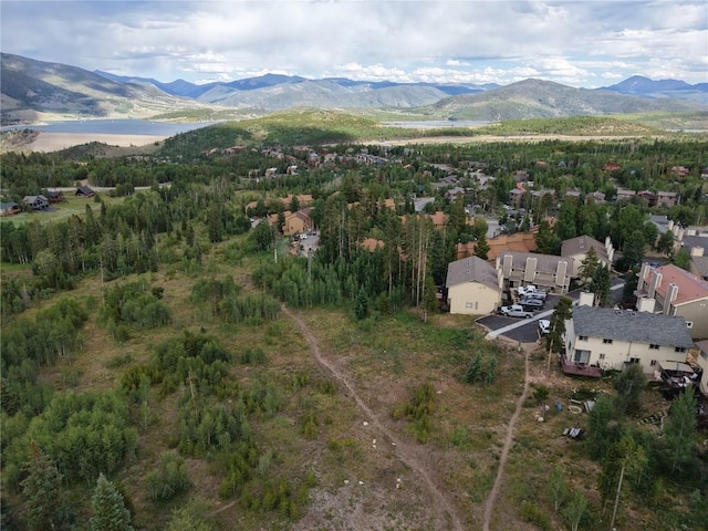 6930 Ryan Gulch Rd Unit 6930, Silverthorne, CO 80498 - photo 41