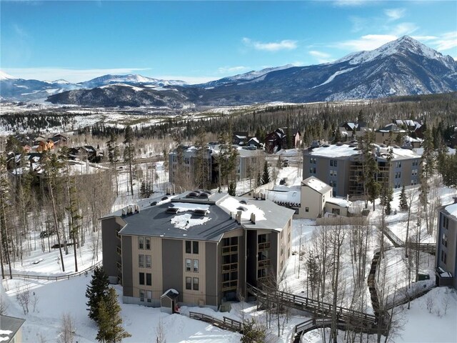 2300 Lodge Pole Cir Unit 301, Silverthorne, CO 80498 - photo 25