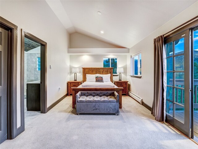 1095 Quartzville Rd, Alma, CO 80440 - photo 13