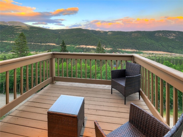 1095 Quartzville Rd, Alma, CO 80440 - photo 16