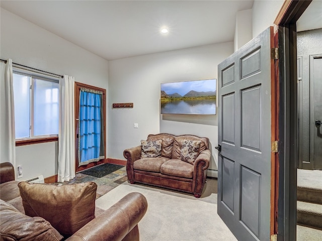 1095 Quartzville Rd, Alma, CO 80440 - photo 31