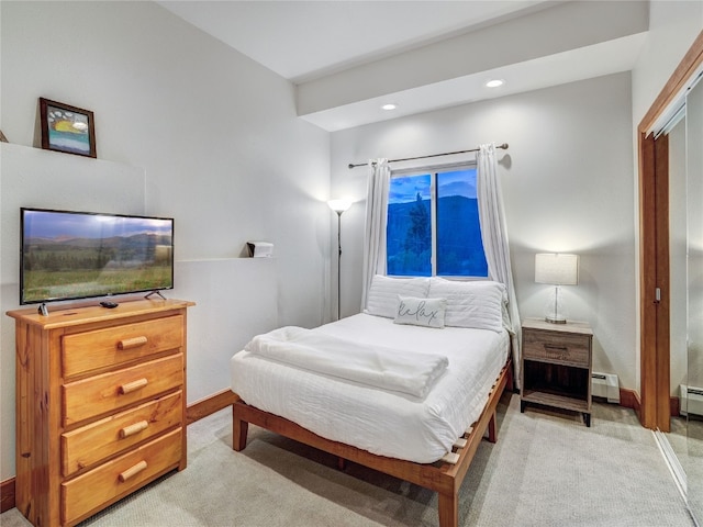 1095 Quartzville Rd, Alma, CO 80440 - photo 32
