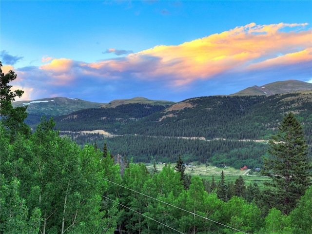 1095 Quartzville Rd, Alma, CO 80440 - photo 4