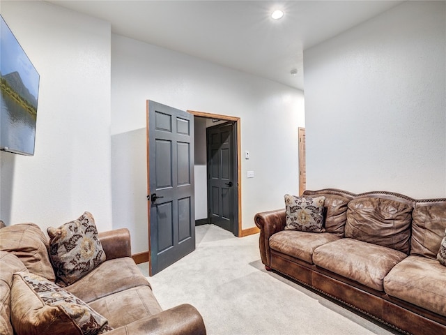 1095 Quartzville Rd, Alma, CO 80440 - photo 36