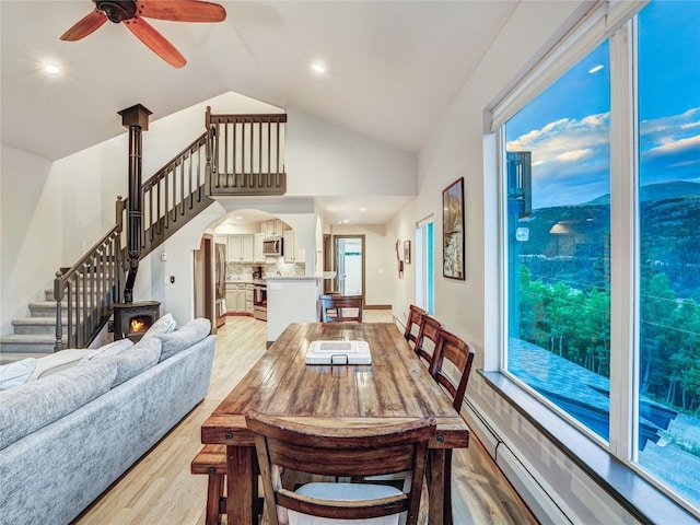 1095 Quartzville Rd, Alma, CO 80440 - photo 12
