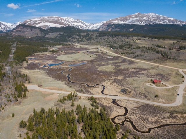 374 High River Ct, Alma, CO 80420