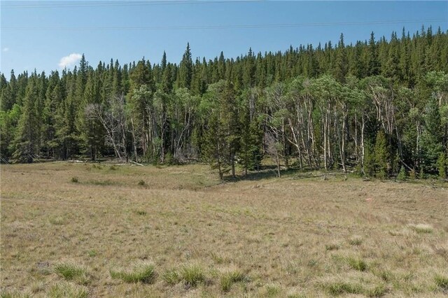 374 High River Ct, Alma, CO 80420