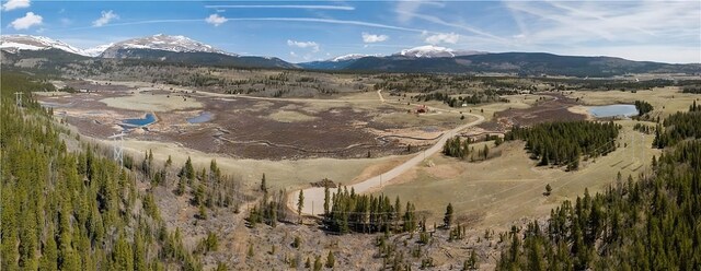 374 High River Ct, Alma, CO 80420
