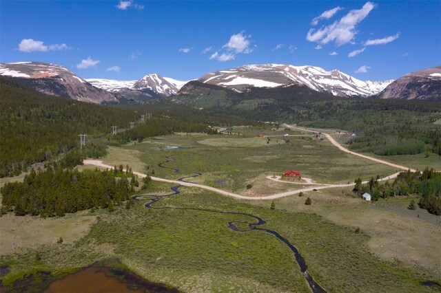 374 High River Ct, Alma, CO 80420