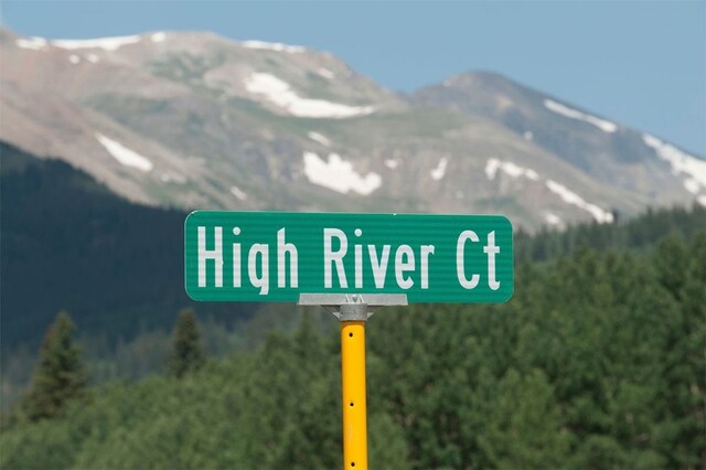 374 High River Ct, Alma, CO 80420