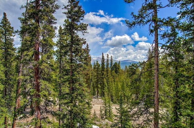 view of nature featuring a forest view and a mountain view