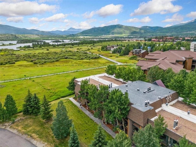 1127 9000 Divide Rd Unit 108, Frisco, CO 80443 - photo 3